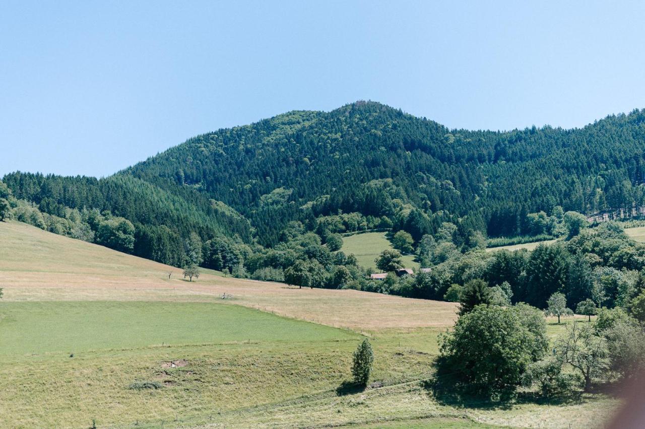 Rustikale 3 Zi.-Fewo Naehe Freiburg 70Qm 시몬스발드 외부 사진